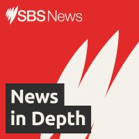SBS News In Depth cover