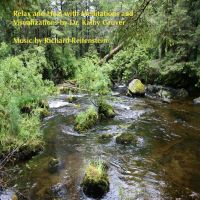 Meditation and Visualizations with Dr Kathy Gruver cover