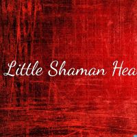 The Little Shaman Healing cover