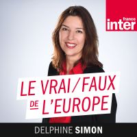 Vrai faux de l'Europe cover