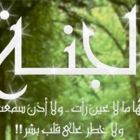 حادي الأرواح إلى بلاد الأفراح cover