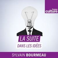 La suite dans les idées cover