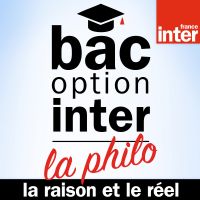 La raison et le réel - Bac Philo Option Inter cover