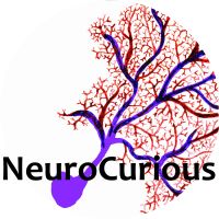 NeuroCurious cover