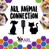 ARL Animal Connection cover