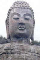 Sanghata Sutra In Chinese cover