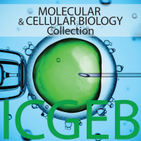 Molecular and Cellular Biology cover