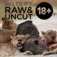 Wildlife: Raw & Uncut cover