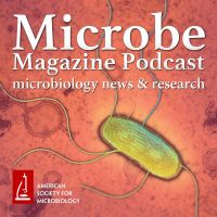 Microbe Magazine Podcast cover