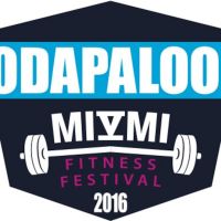 The Wodapalooza Podcast cover