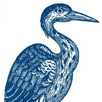 Blue Heron (Vocal Ensemble) Podcast cover