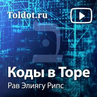 Рав Элиягу Рипс — Коды в Торе cover