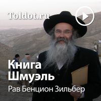 Рав Бенцион Зильбер — Книга Шмуэль cover