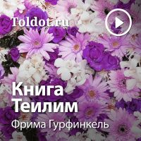 Фрима Гурфинкель — Книга Теилим cover