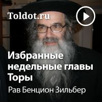 Рав Бенцион Зильбер — Уроки по избранным недельным главам Торы cover