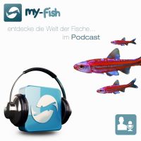 my-fish (Aus Freude an der Aquaristik Podcast) cover