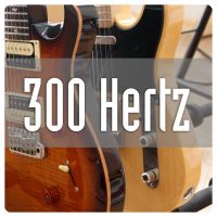 300Hertz cover