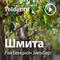 Рав Бенцион Зильбер — Шмита cover
