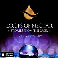 Drops of Nectar - Yoga Philosophy & Satsang (Similar to Mooji, Ekhart Tolle, Adya Shanti, Gangaji & Christopher Titmuss) cover