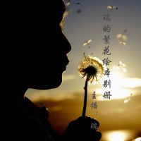 浅岛繁花 cover