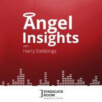 Angel Insights | Angel Investing | Crowdfunding cover