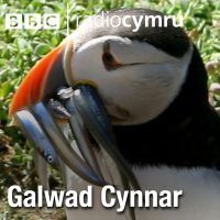 Galwad Cynnar cover