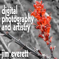 Digital Photography and Artistry cover