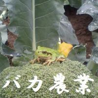 バカ農業 cover