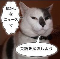 おかしなニュースで英語を勉強しよう cover