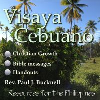 Visaya and Cebuano: Two Christian seminars: (1) Ang Agos: Pagpasiugda sa Spirituhanon Pagtubo diha sa Simbahan, and (2) Mahimong usa ka Magbubuntog cover