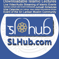 SLHub.com cover