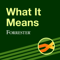 What It Means cover