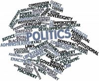 A.P. Government and Politics cover