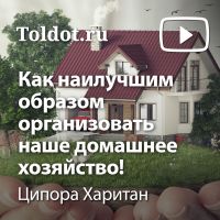 Ципора Харитан — Как наилучшим образом организовать наше домашнее хозяйство! cover