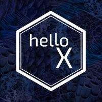 hello X cover