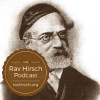 The Rav Hirsch Podcast cover