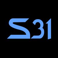 SEÇÃO 31 cover