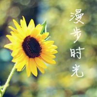 NJ一念 cover