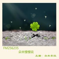 朵米索拉 cover