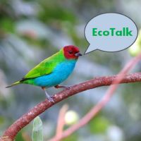 EcoTalk cover