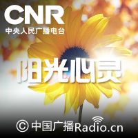 阳光心灵 cover