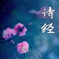 《诗经》讲解 cover