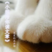 小猫陪你读文章 cover