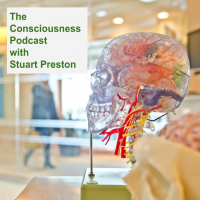 The Consciousness Podcast cover