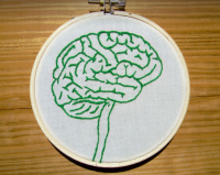 Explain the Brain cover