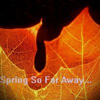 Spring So Far Away Podcast cover