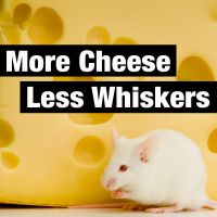 More Cheese Less Whiskers cover