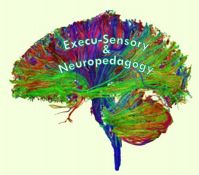 Execu-Sensory & Neuropedagogy Educational Consulting Services » Podcasts cover