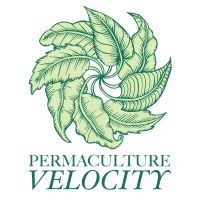 Permaculture Velocity | Homesteading Skills You Can Use cover