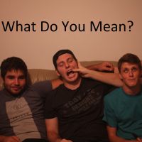 What Do You Mean? cover
